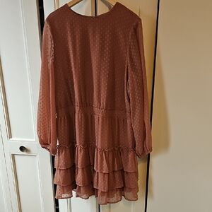 Express Long Sleeve Dress in Dusty Rose